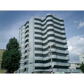 インペリアルカーサ 9階 築33年1ヶ月の賃貸物件