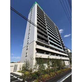 井高野駅より徒歩8分 12階 新築の賃貸物件