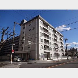 だいどう豊里駅より徒歩18分 5階 築55年8ヶ月の賃貸物件