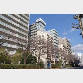 練馬駅より徒歩7分 10階 築39年1ヶ月の賃貸物件