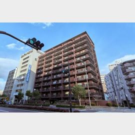 新大阪駅より徒歩5分 5階 築43年10ヶ月の賃貸物件