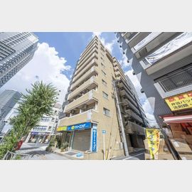 池袋駅より徒歩15分 7階 築41年6ヶ月の賃貸物件