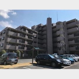 新松戸駅より徒歩14分 7階 築29年2ヶ月の賃貸物件