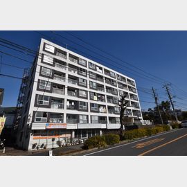 小金原第３コーポラス 2階 築52年7ヶ月の賃貸物件