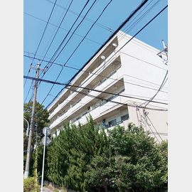 プロミネント馬橋 2階 築41年11ヶ月の賃貸物件