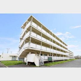 五香駅よりバス8分 1階 築61年4ヶ月の賃貸物件