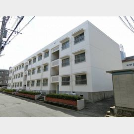 メゾン蔵元 1階 築43年4ヶ月の賃貸物件
