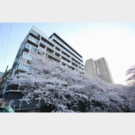 アールコート早稲田の賃貸物件