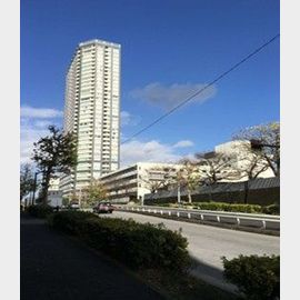 ザ・センター東京 15階 築18年8ヶ月の賃貸物件