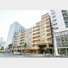 表参道駅より徒歩10分 築44年2ヶ月 13階建の賃貸物件