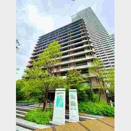 HARUMI FLAG PARK VILLAGE D棟の賃貸物件