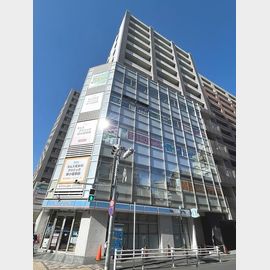 新小岩駅より徒歩2分 9階 築19年1ヶ月の賃貸物件