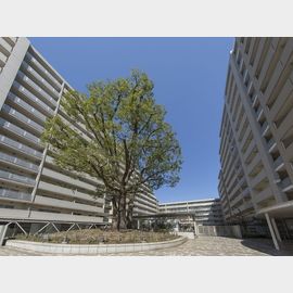 シティコート目黒4号棟 5階 築24年2ヶ月の賃貸物件