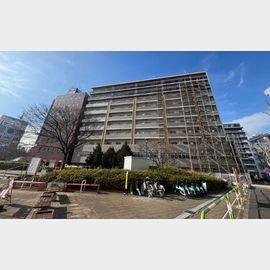 ステラテラス 8階 新築の賃貸物件