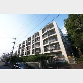 プラザフェニックス千鳥ヶ丘A棟 3階 築51年2ヶ月の賃貸物件