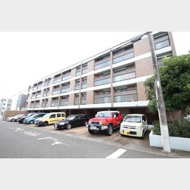 NSハイム 4階 築37年8ヶ月の賃貸物件