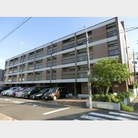 NSハイム 2階 築37年8ヶ月の賃貸物件