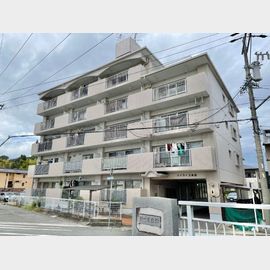 ハイライズ成田 3階 築41年6ヶ月の賃貸物件