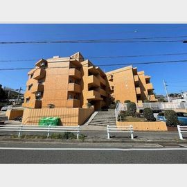 メゾン柏木の賃貸物件