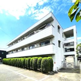 第3アベニューハウス 3階 築39年10ヶ月の賃貸物件