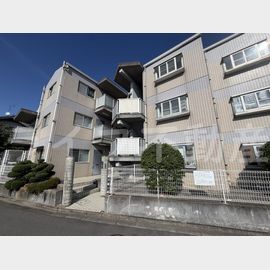 ライムハイツ 1階 築38年の賃貸物件