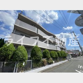 シロハイヌ小阪 1階 築35年4ヶ月の賃貸物件