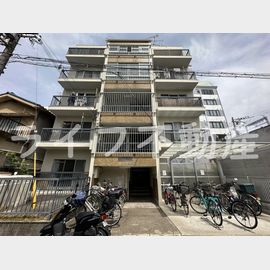 菱屋西ハウス 1階 築53年9ヶ月の賃貸物件