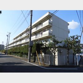 柏駅より徒歩9分 1階 築40年2ヶ月の賃貸物件