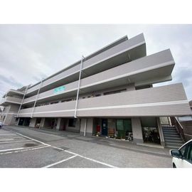 マンション豊四季 2階 築32年6ヶ月の賃貸物件