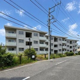 柏駅より徒歩19分 1階 築36年7ヶ月の賃貸物件
