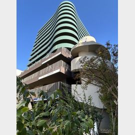 果樹園エスティー 9階 築9年8ヶ月の賃貸物件