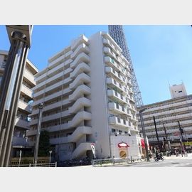 とうきょうスカイツリー駅より徒歩2分 9階 築40年の賃貸物件