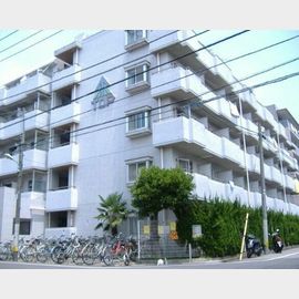 金町駅より徒歩10分 4階 築39年3ヶ月の賃貸物件