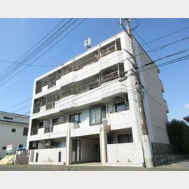 シティーホームズ的場 1階 築37年5ヶ月の賃貸物件
