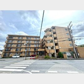 五井駅より徒歩15分 築33年10ヶ月 5階建の賃貸物件