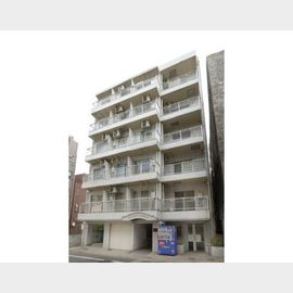 スカイコート浅草３ 3階 築36年5ヶ月の賃貸物件