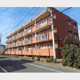 小作駅より徒歩30分 3階 築39年9ヶ月の賃貸物件