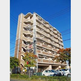 雑餉隈駅より徒歩17分 8階 築19年10ヶ月の賃貸物件